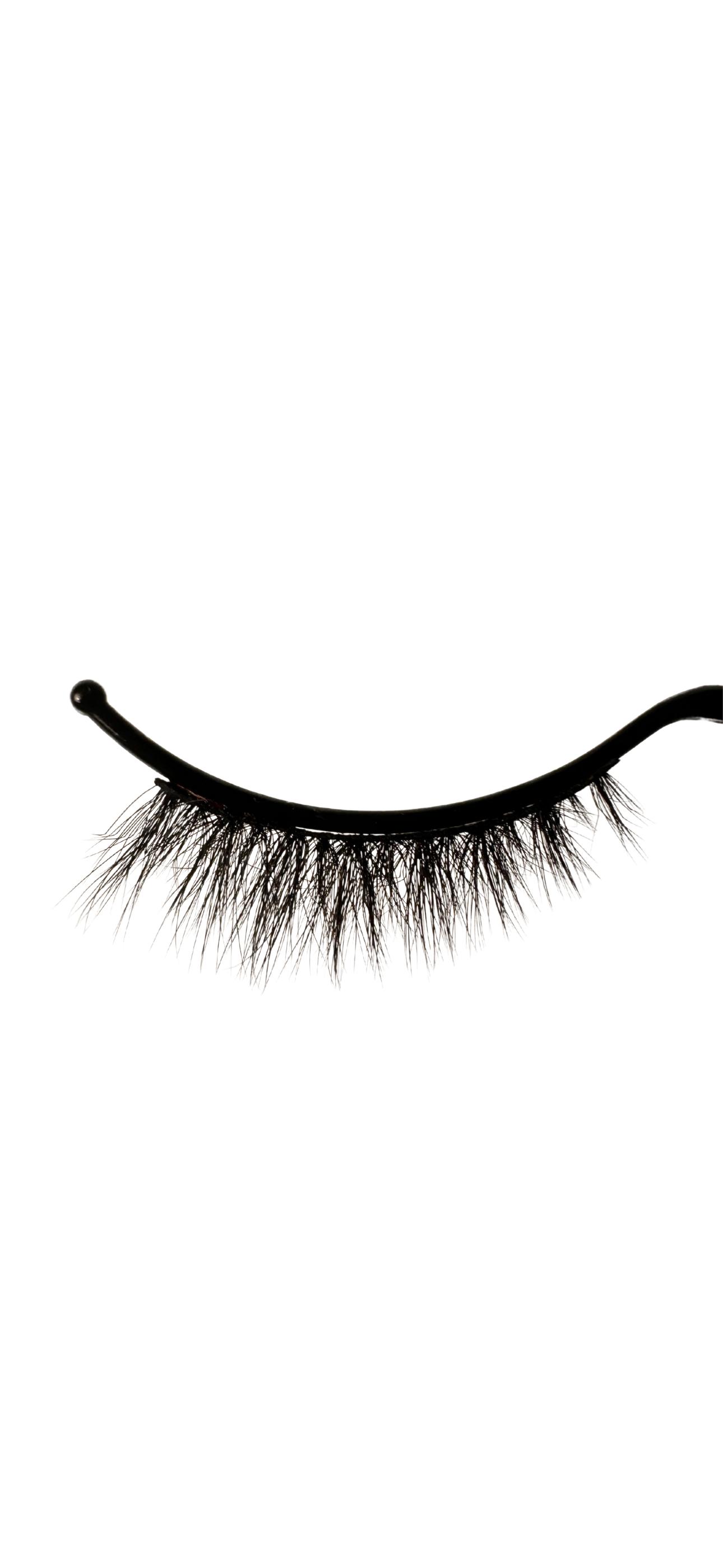 Sultry Lash